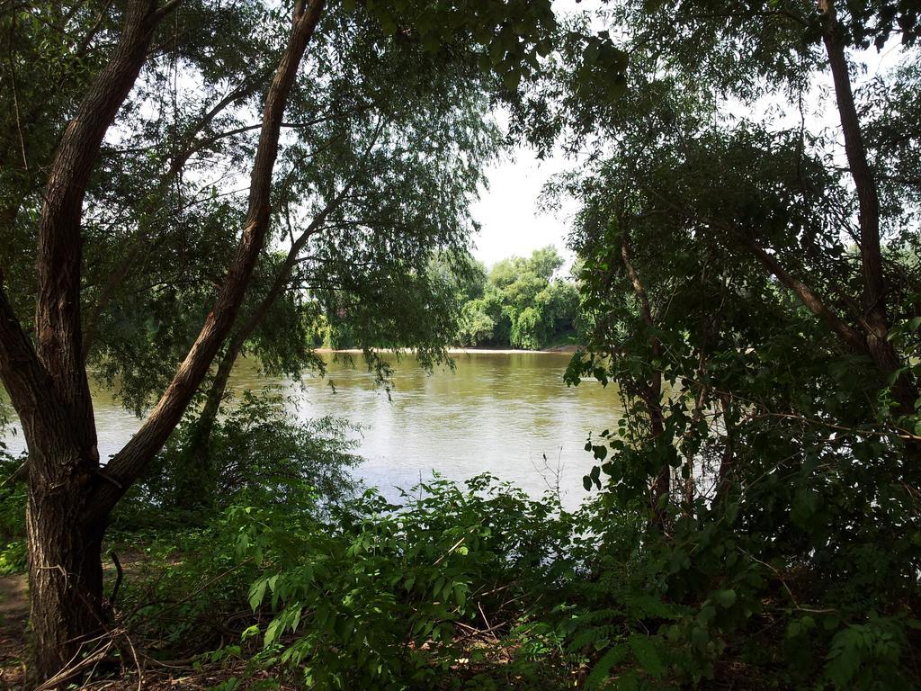Pensiunea Lunca Arad Exterior foto
